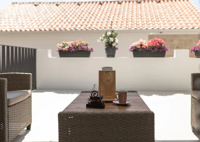 Dalma Girandella * ז'אבוריץ'