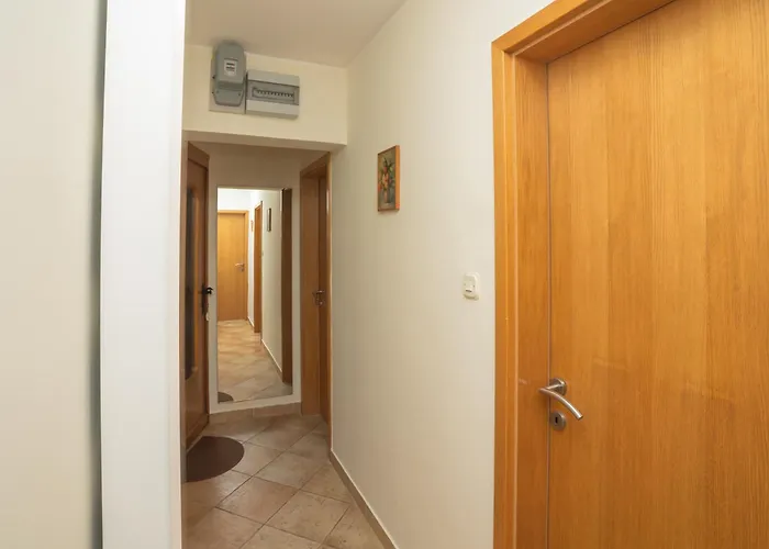 Dalma Girandella ז'אבוריץ'